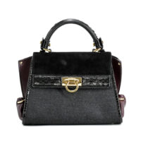 ソフィア FZ-21 F309