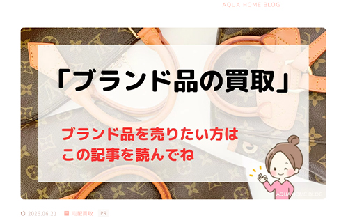 ミニマリストAQUA 掲載イメージ